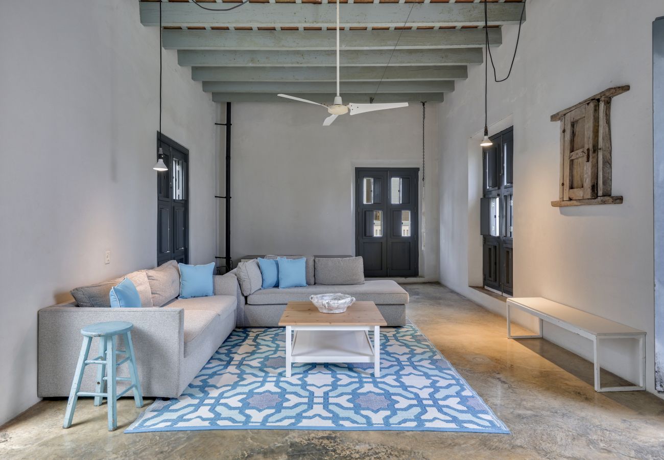 House in San Juan - Rooftop Garden Oasis in the Heart of Old San Juan