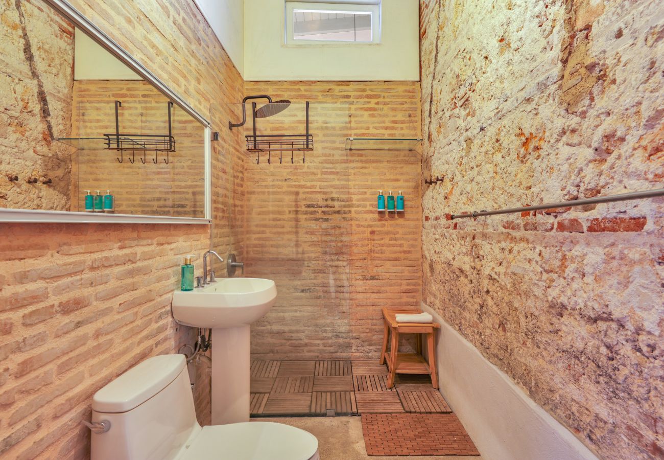 House in San Juan - Rooftop Garden Oasis in the Heart of Old San Juan