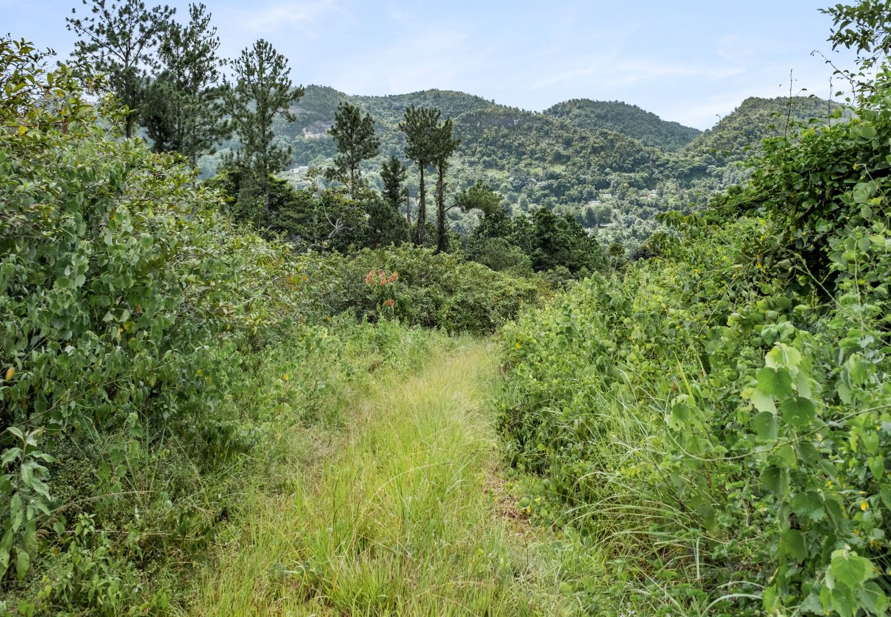 House in Ciales - Casa Algarrobo relaxing farm stay in Puerto Rico