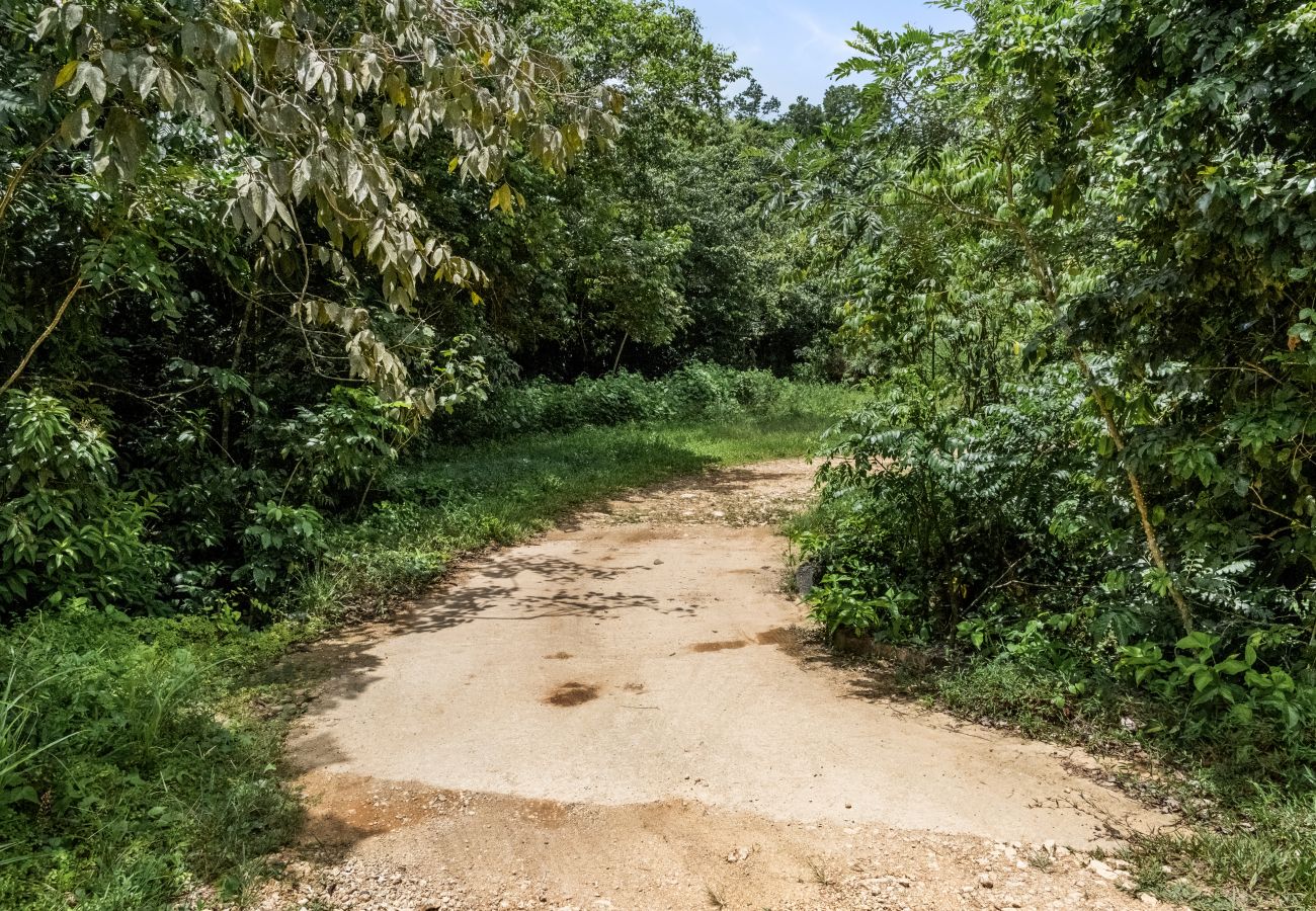 House in Ciales - Casa Algarrobo relaxing farm stay in Puerto Rico