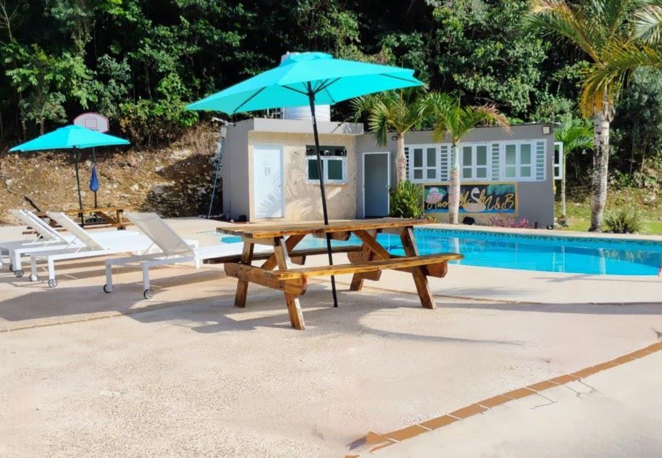 House in Vega Baja - Hacienda M&B · Perfect for Groups, with Pool and Spacious Patio