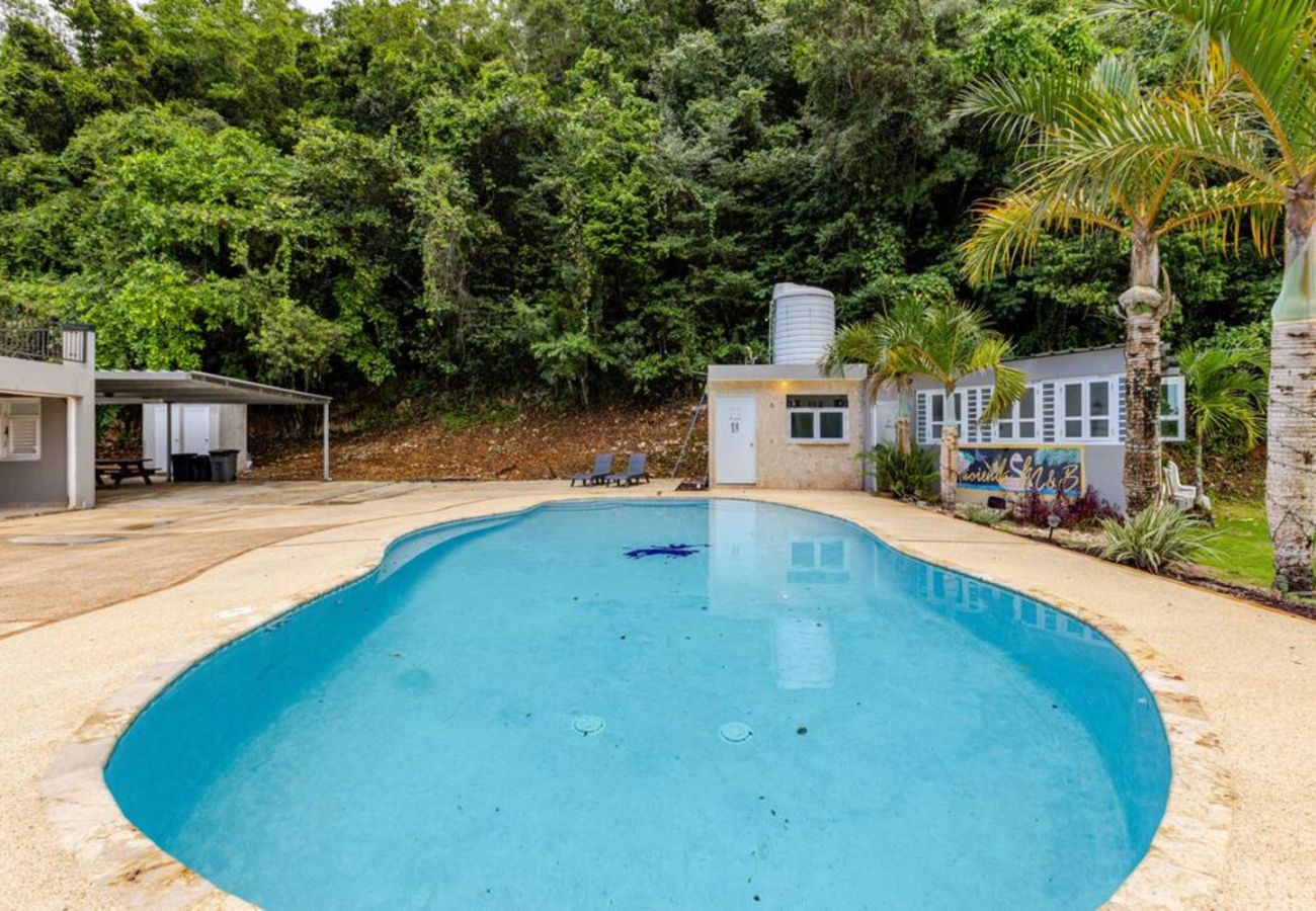 House in Vega Baja - Hacienda M&B · Perfect for Groups, with Pool and Spacious Patio
