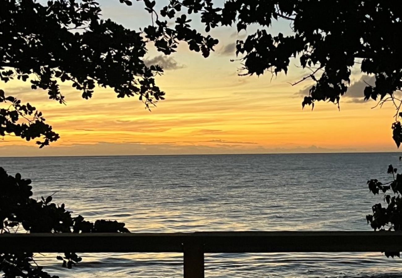 Apartment in Mayaguez - Oceanfront Retreat w/ Terrace, Direct access to Beach & BBQ