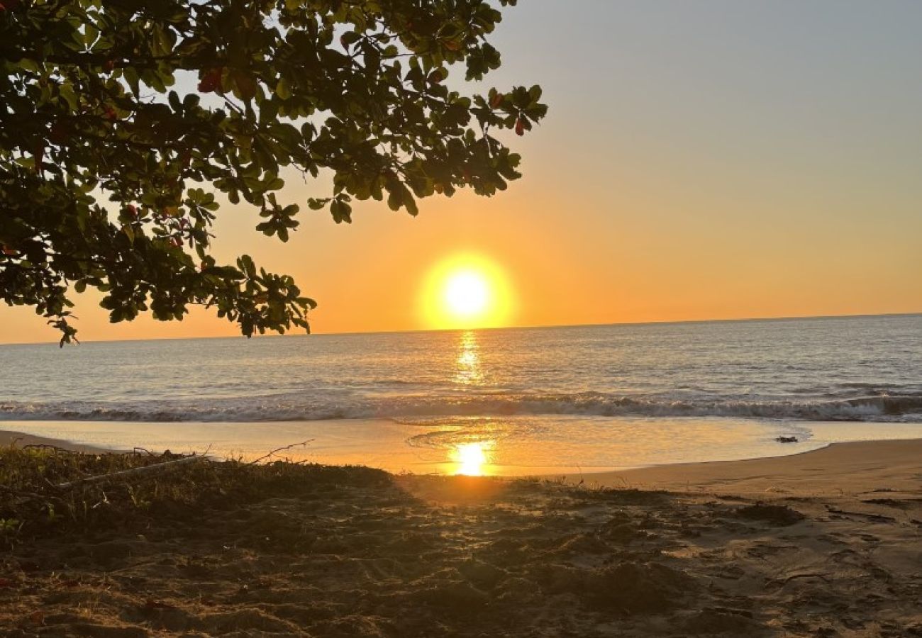 House in Mayaguez - Coastal Oceanfront Hideaway w/ 3BR & Private Deck