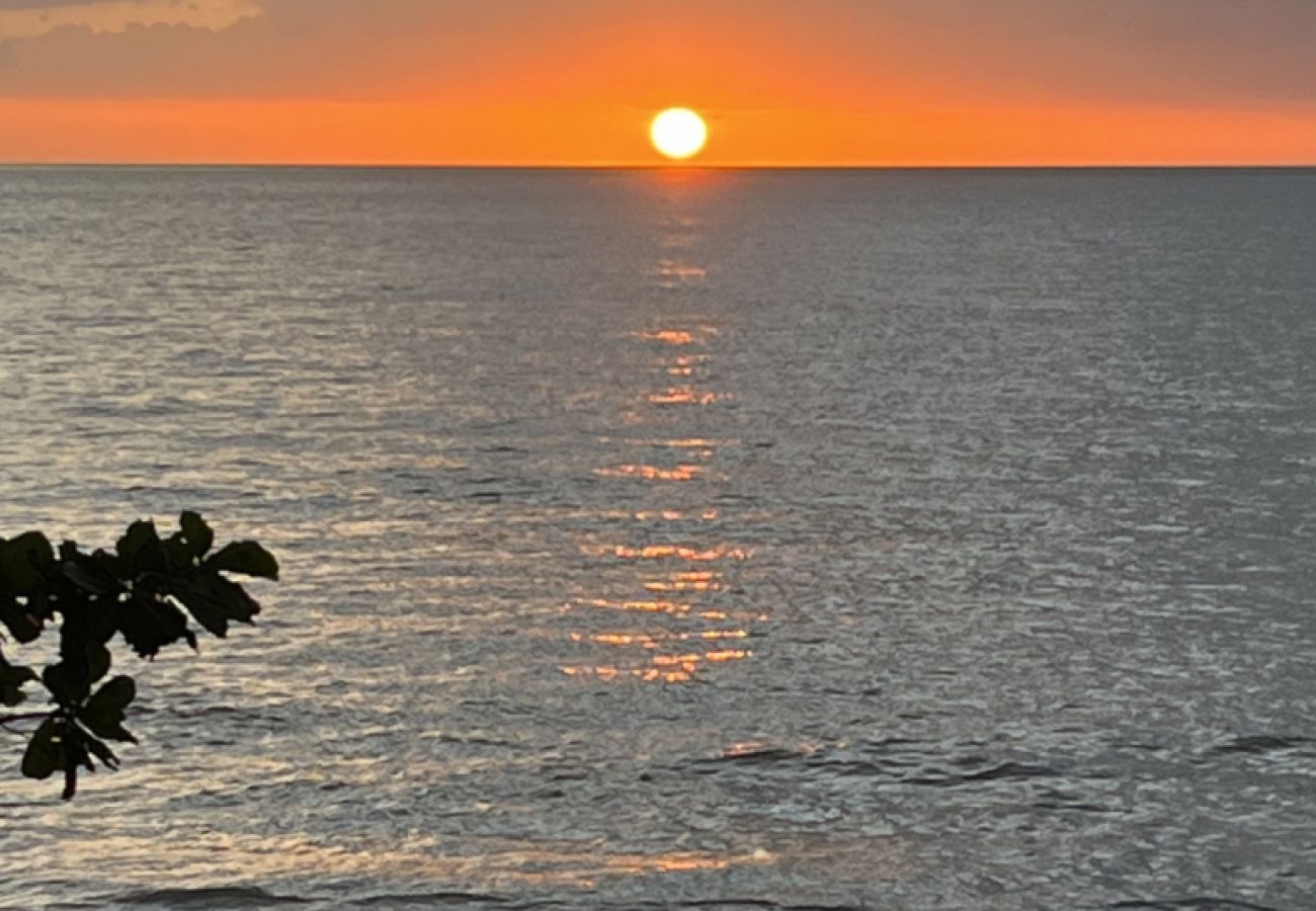 House in Mayaguez - Oceanfront 5BR Oasis w/ Decks & Direct Beach Access