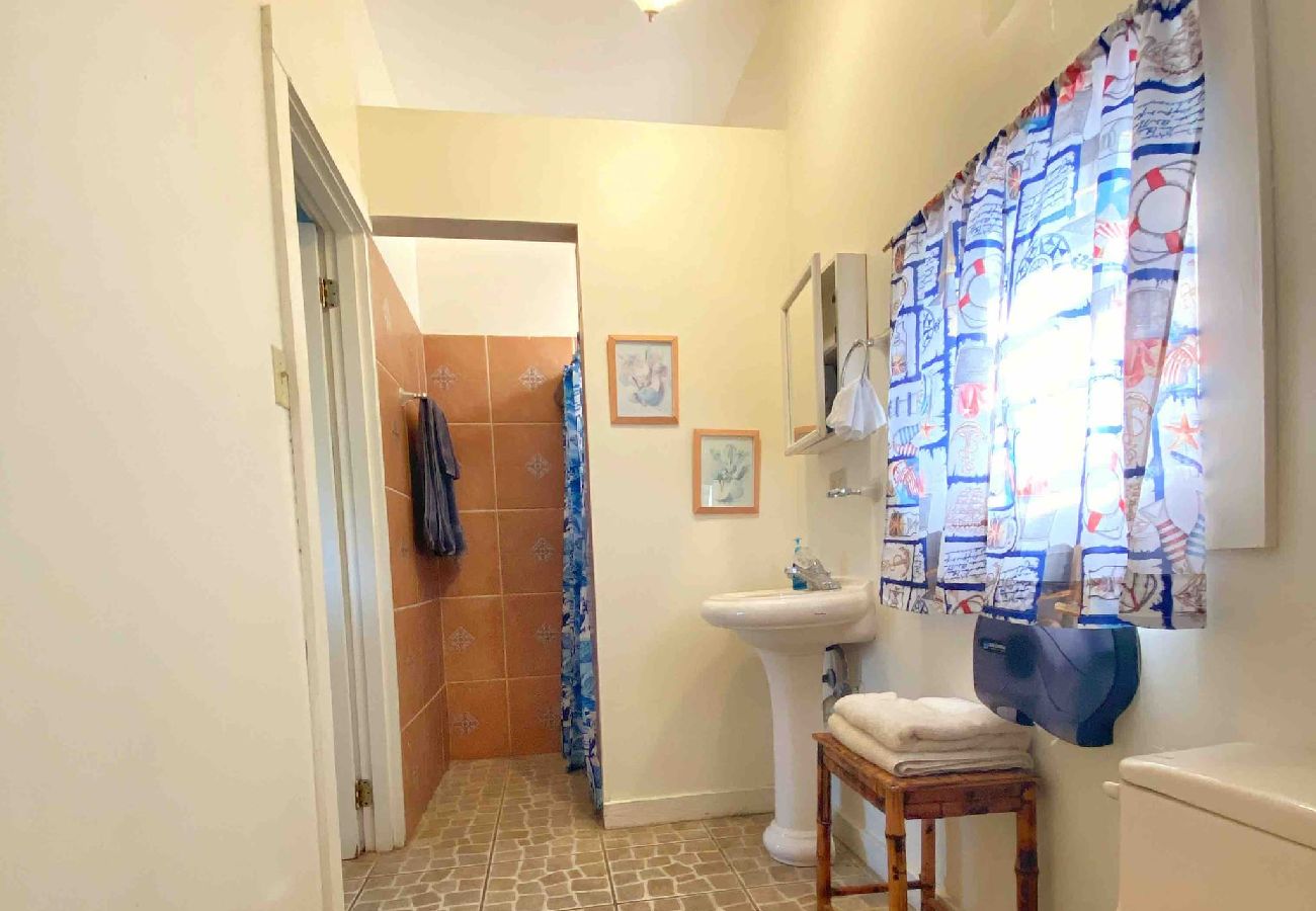 Condominium in Rincon - Oceanview Penthouse at Puntas Tree House – Steps from Sandy Beach