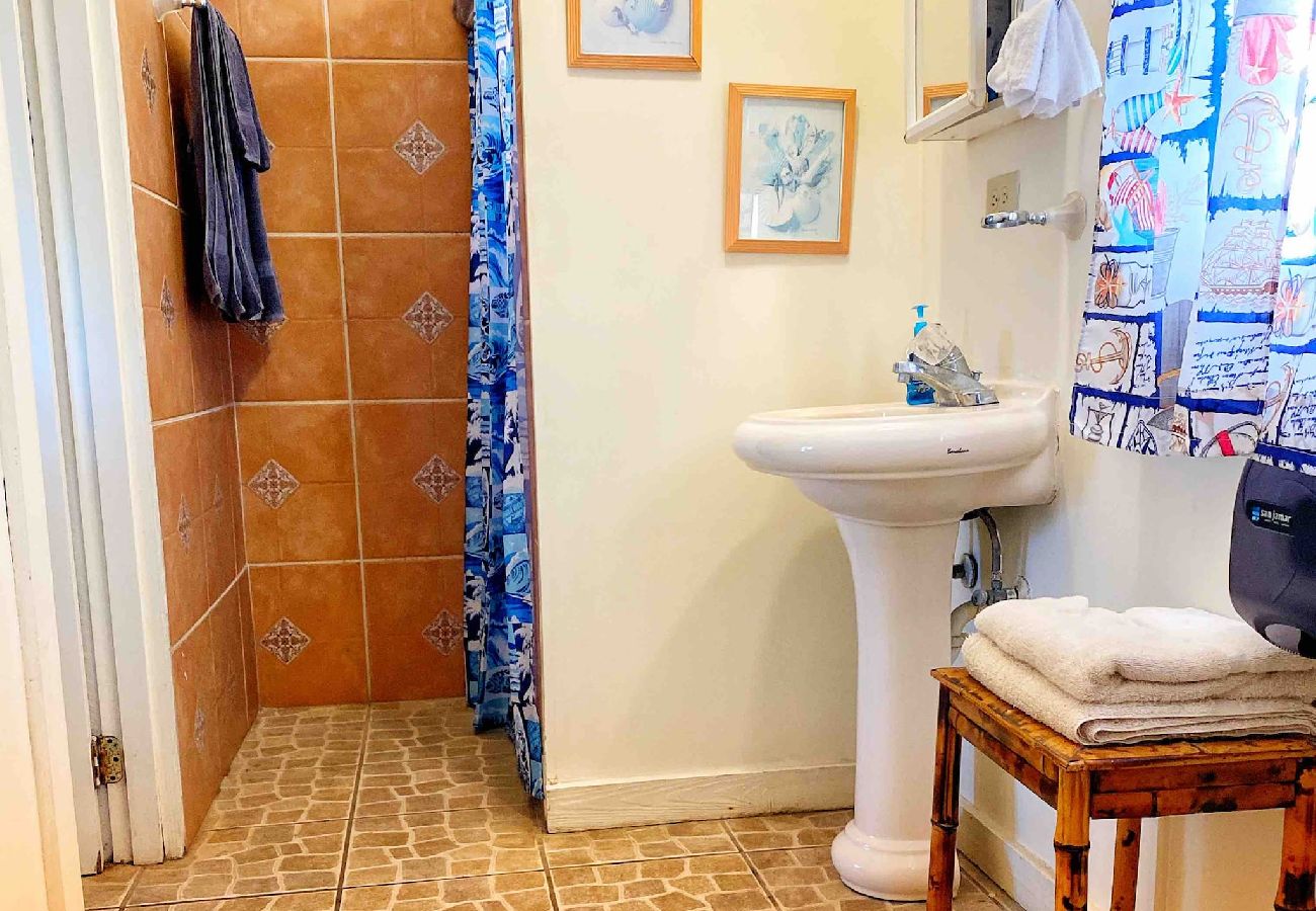 Condominium in Rincon - Oceanview Penthouse at Puntas Tree House – Steps from Sandy Beach