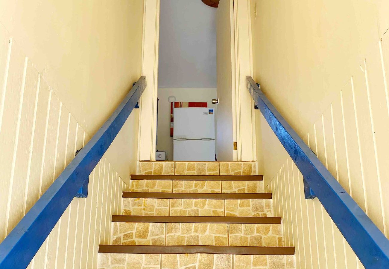 Condominium in Rincon - Oceanview Penthouse at Puntas Tree House – Steps from Sandy Beach
