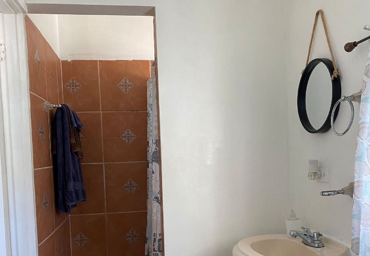 Condominium in Rincon - Oceanview Penthouse at Puntas Tree House – Steps from Sandy Beach