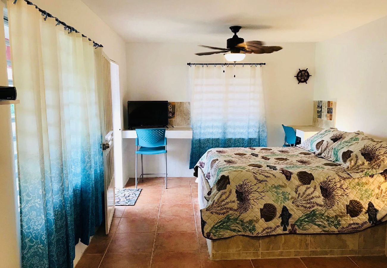 Studio in Rincon - Peaceful Beach Studio in the Heart of Puntas