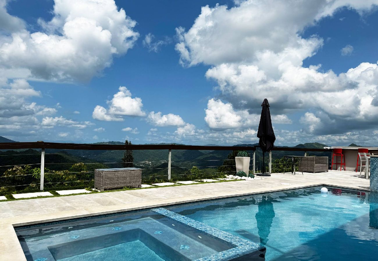 House in Comerío - Casa Monte Verde - Heated Pool 