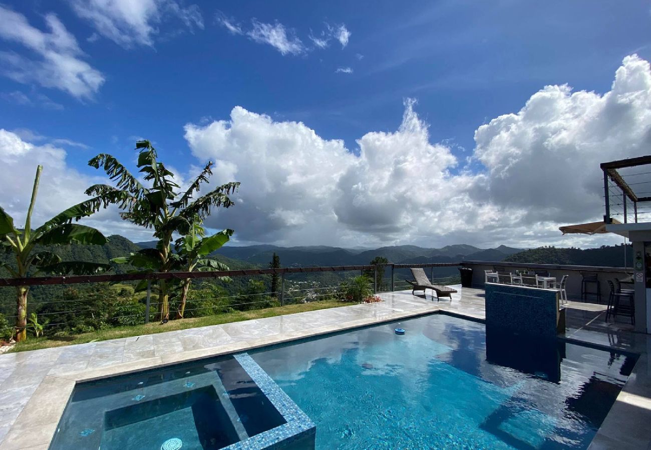 House in Comerío - Casa Monte Verde - Heated Pool 