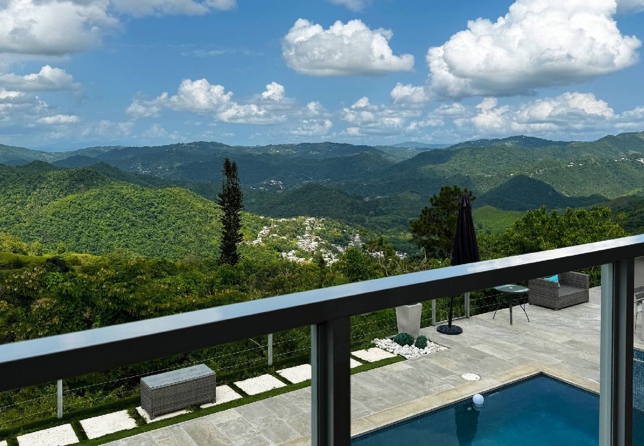 House in Comerío - Casa Monte Verde - Heated Pool 