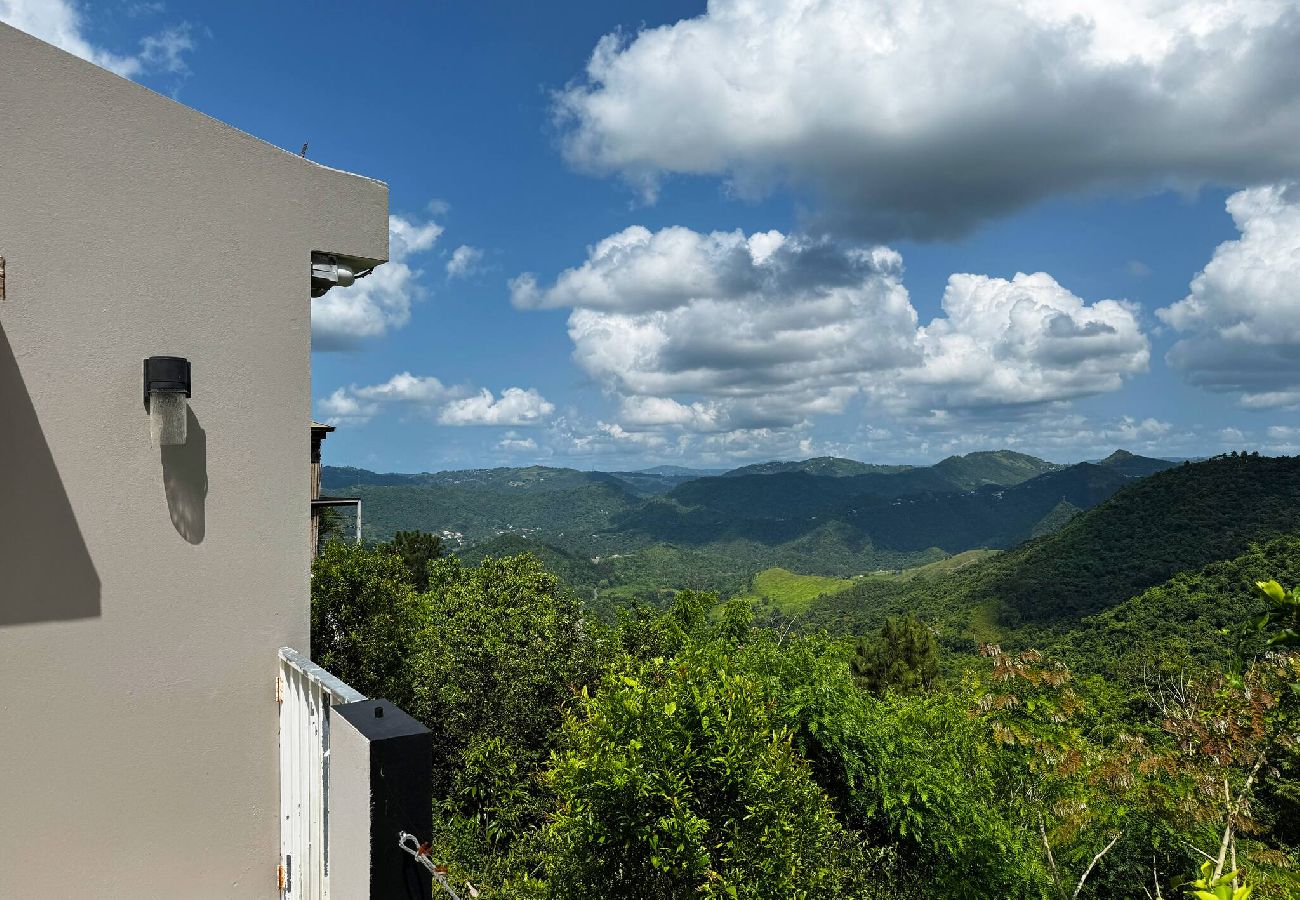House in Comerío - Casa Monte Verde - Heated Pool 