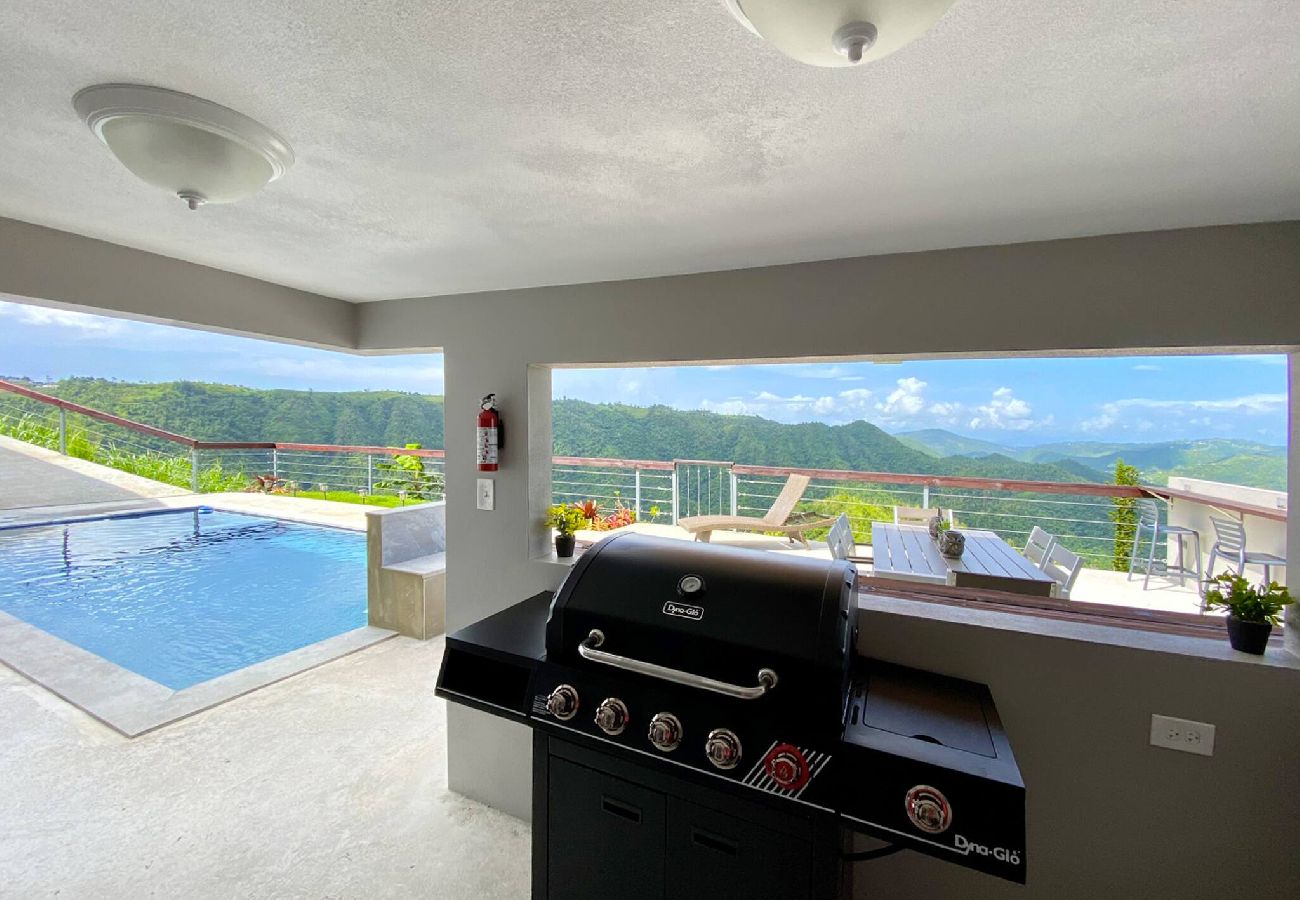 House in Comerío - Casa Monte Verde - Heated Pool 