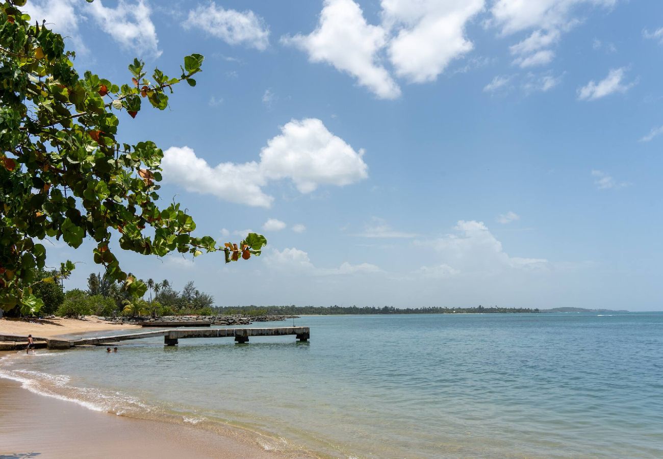 Villa in Dorado - Villa Merchan - 8 Guests - 4BR & 4 Bathrooms 