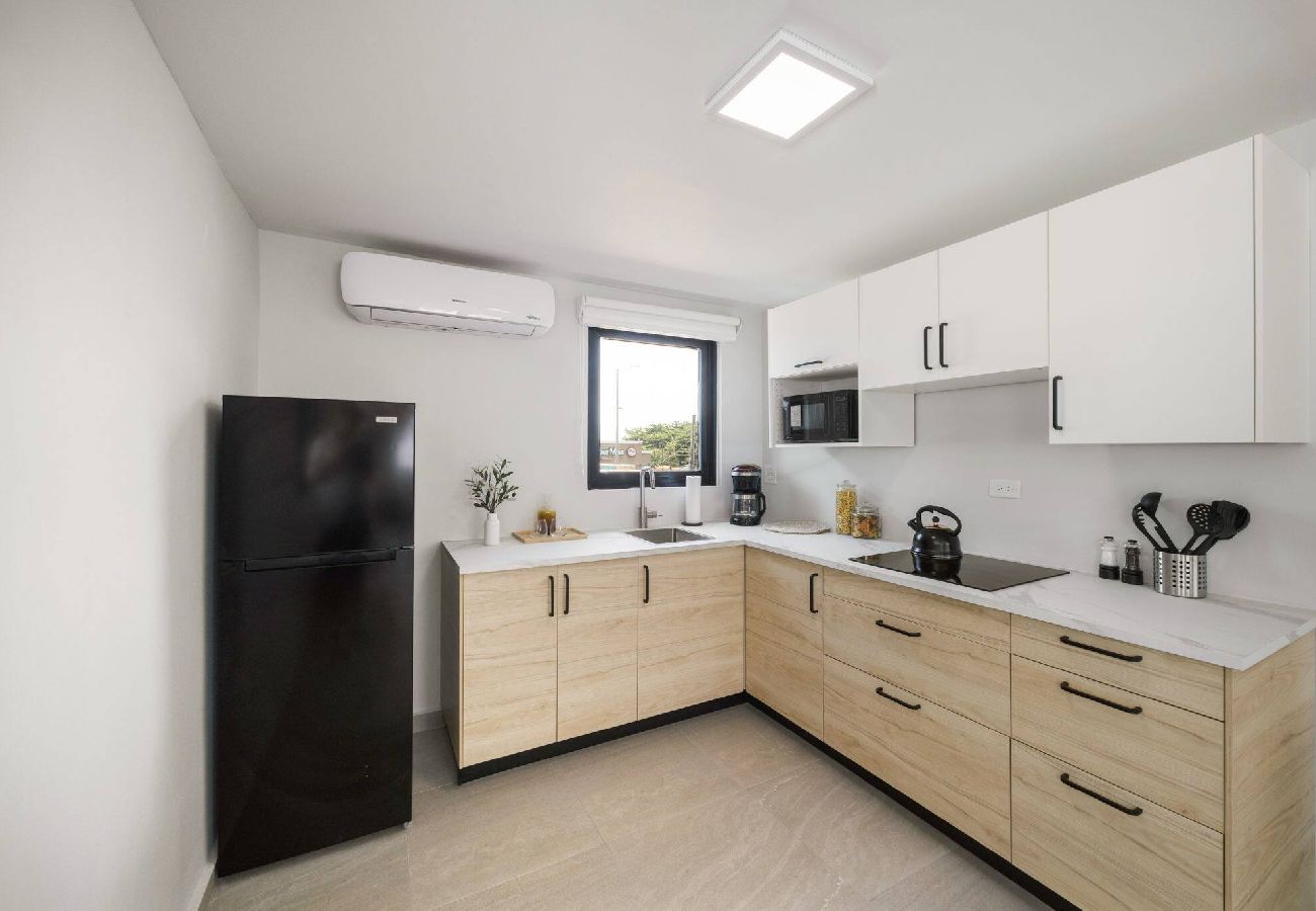 Apartment in San Juan - LISD24E - OV Penthouse | SEA, SUN & BLISS