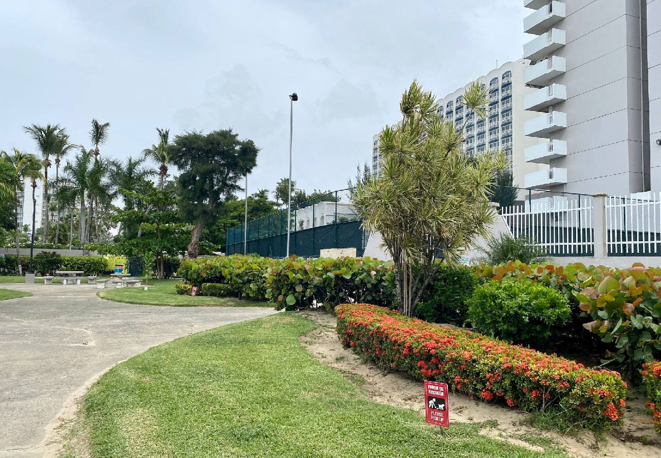 Apartment in Luquillo - Amazing sunset/ ocean view beachfront studio 