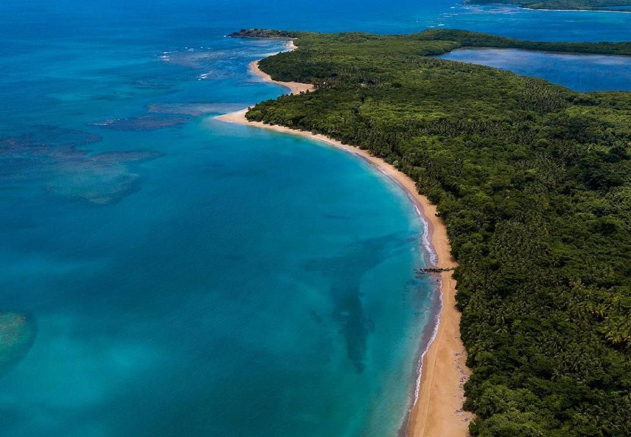 Apartment in Fajardo - La Finca Real - 2 Bedroom Apt 