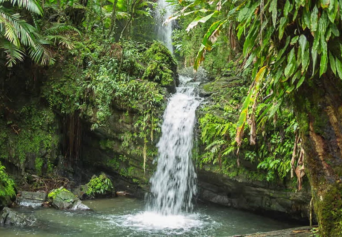 Apartment in Fajardo - La Finca Real - 2 Bedroom Apt 