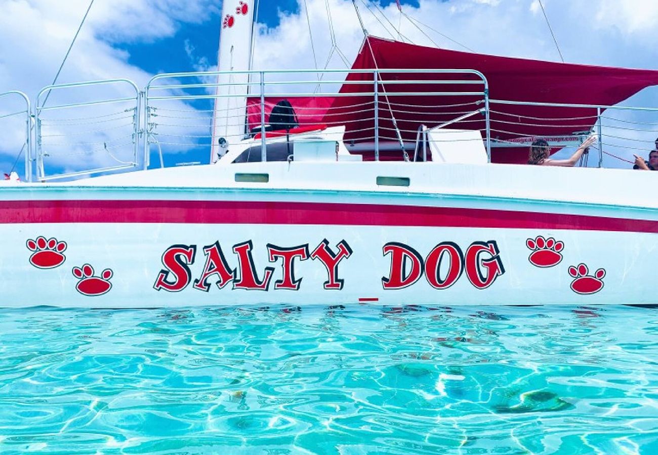 Apartment in Fajardo - La Finca Real - 2 Bedroom Apt 