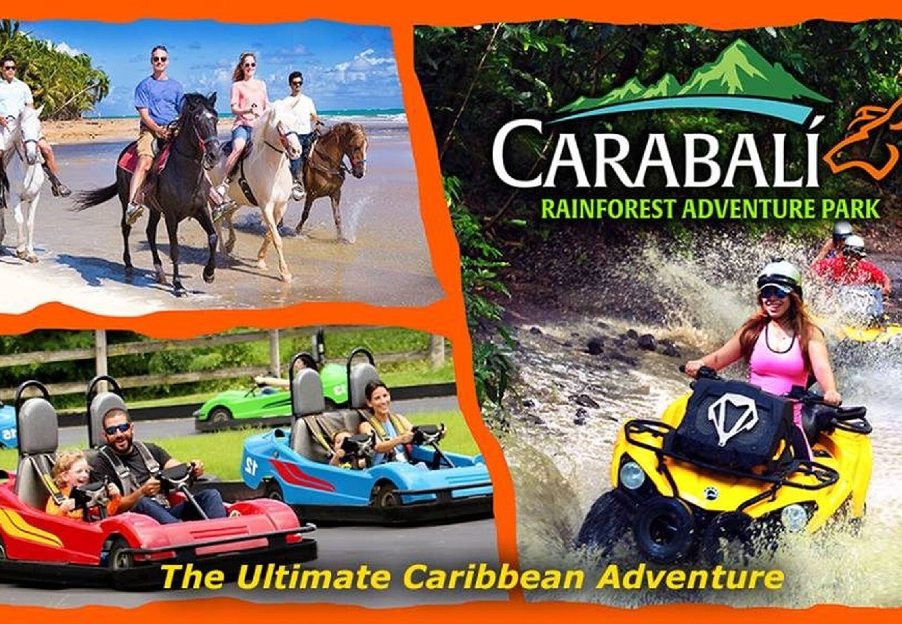 Apartment in Fajardo - La Finca Real - 2 Bedroom Apt 