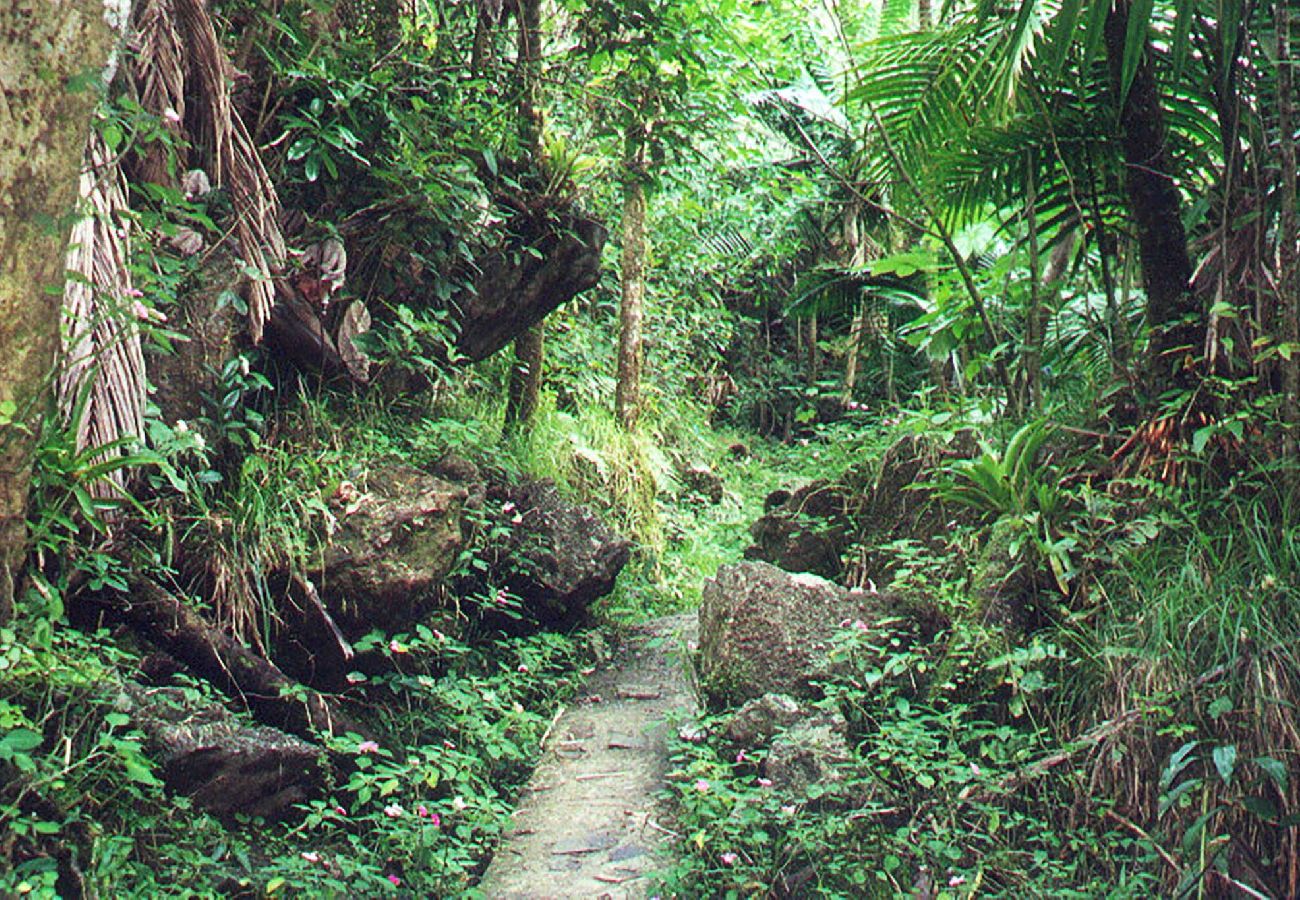 Apartment in San Juan - Centric, Spacious, Stylish Miramar Unit, Sleeps 4 