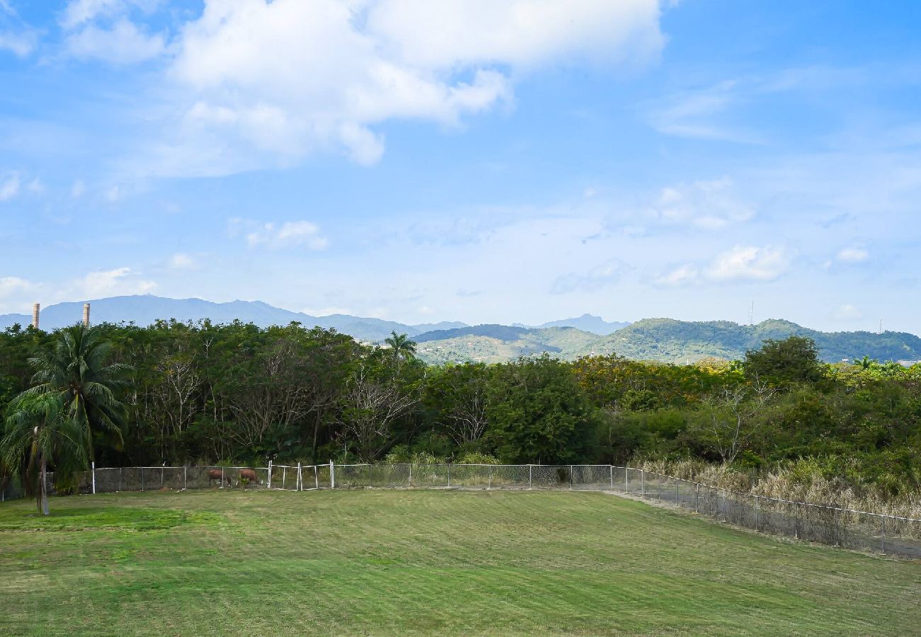 Apartment in Fajardo - La Finca Sunset - Fajardo 1 Bed NEW 