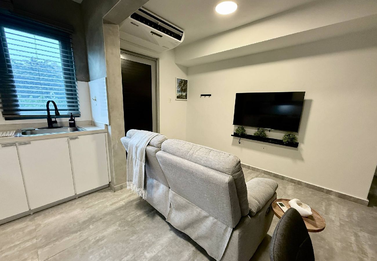 Apartment in San Juan - Brisamare Apt 2 | 2BR | Pool, BBQ, Generator 