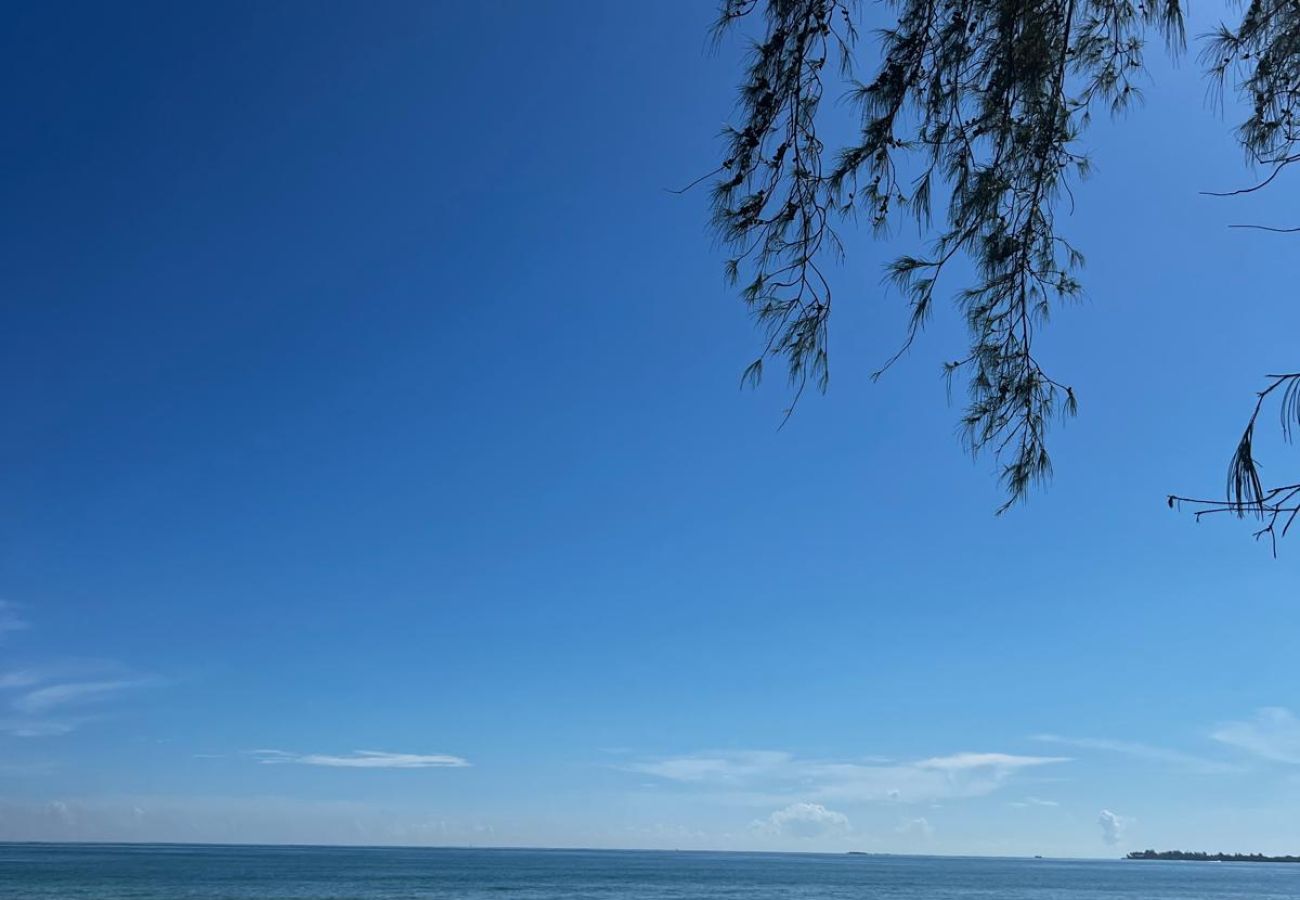 Apartment in Carolina - Charming apartment 5' walk to the beach 