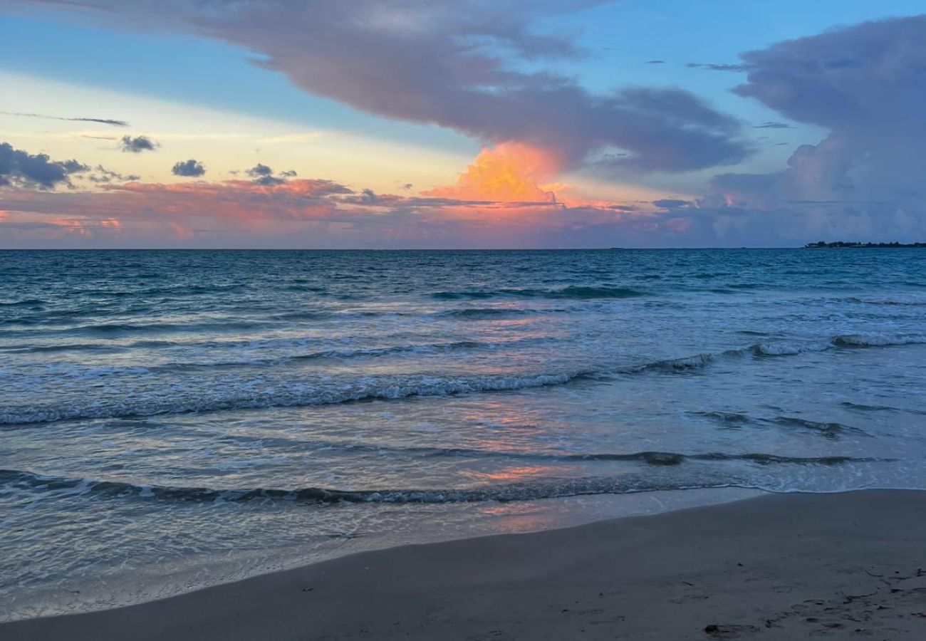 Apartment in Carolina - Charming apartment 5' walk to the beach 