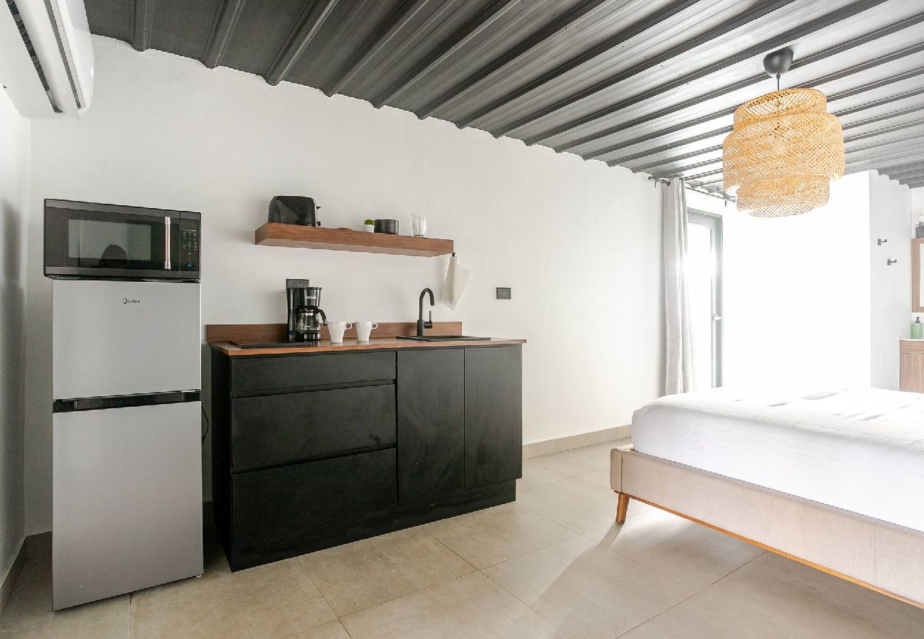 House in Carolina - Lux Gem~Mins to SJU~Pool~Tesla Solar~No Blackouts 