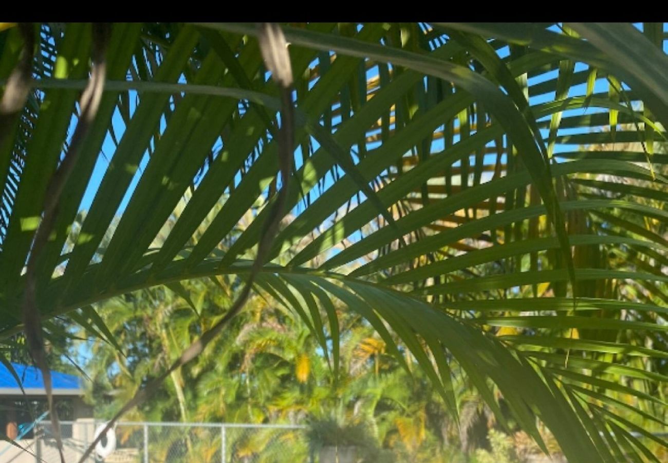 Apartment in Vega Baja - Comfortable 2BR Getaway for 6 Guests with Pool Access