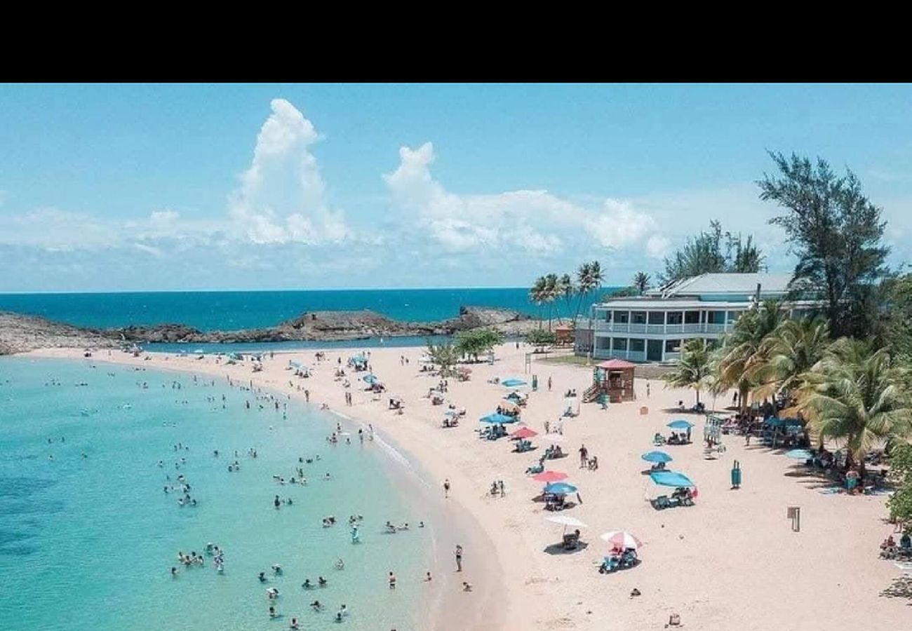 Apartment in Vega Baja - Cozy 1BR Beachside Apartment – Entre Olas 