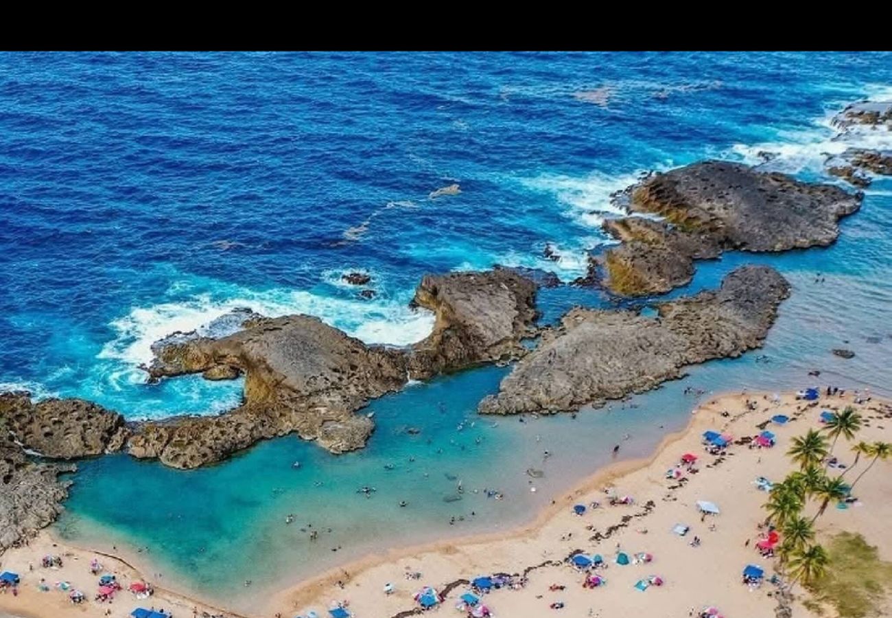 Apartment in Vega Baja - Beachside 1BR Apartment at Entre Olas – Sleeps 4