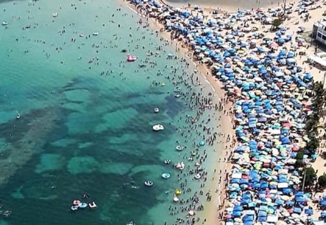 Apartment in Vega Baja - Cozy 1BR Apartment with Private Entrance –  Entre Olas 