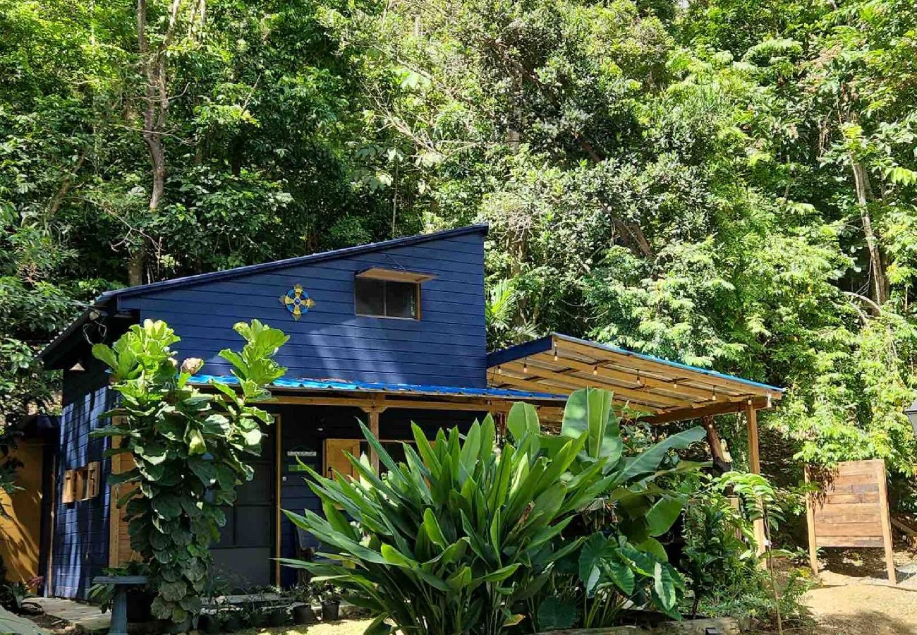 Cabin in Cayey - Tiny Cozy Mountain Cabin Peaceful Retreat in Cayey 
