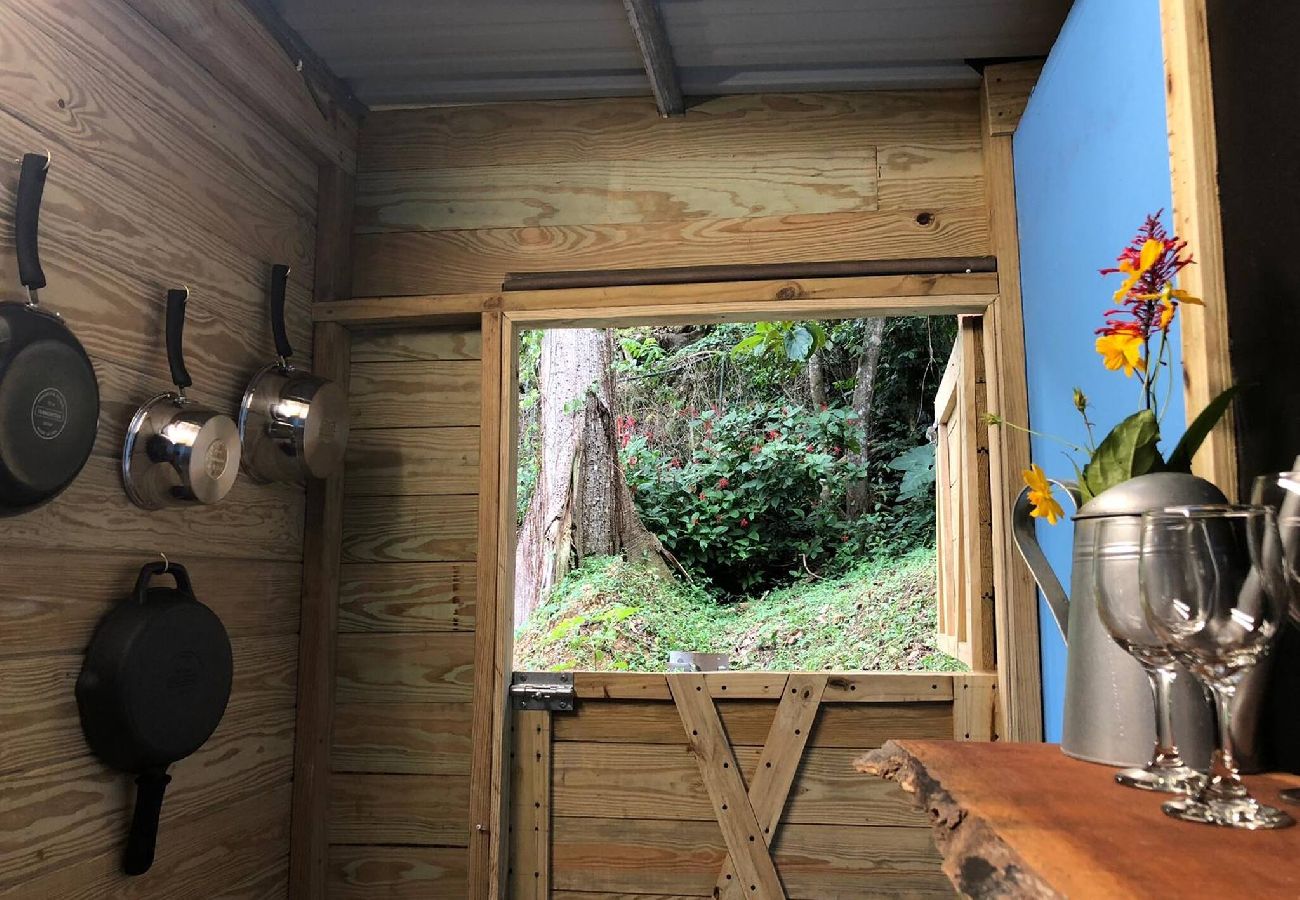 Cabin in Cayey - Tiny Cozy Mountain Cabin Peaceful Retreat in Cayey 