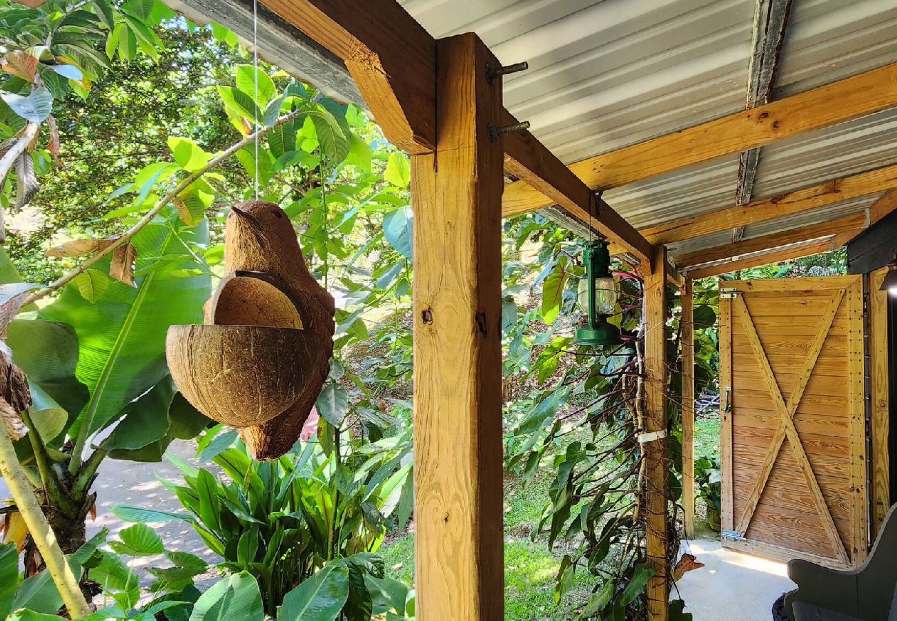 Cabin in Cayey - Tiny Cozy Mountain Cabin Peaceful Retreat in Cayey 