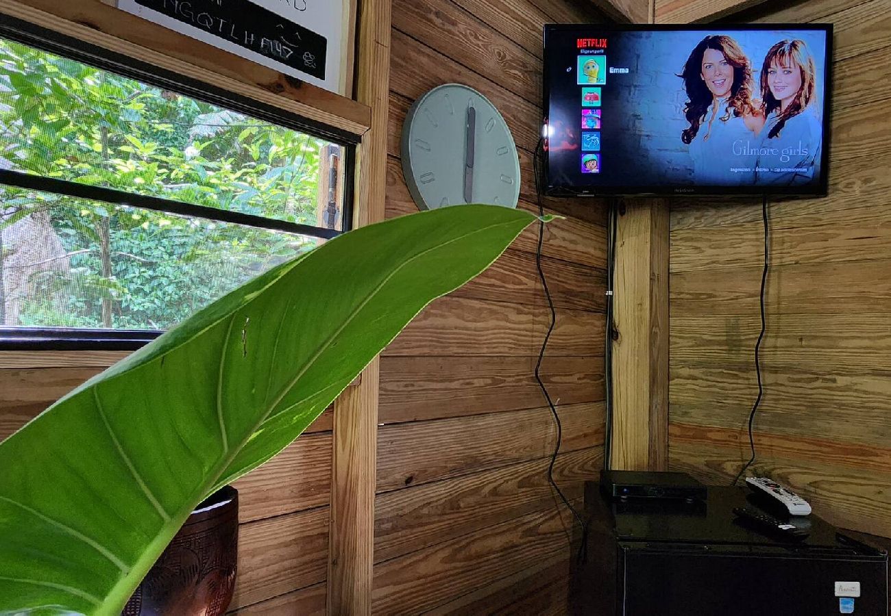 Cabin in Cayey - Tiny Cozy Mountain Cabin Peaceful Retreat in Cayey 