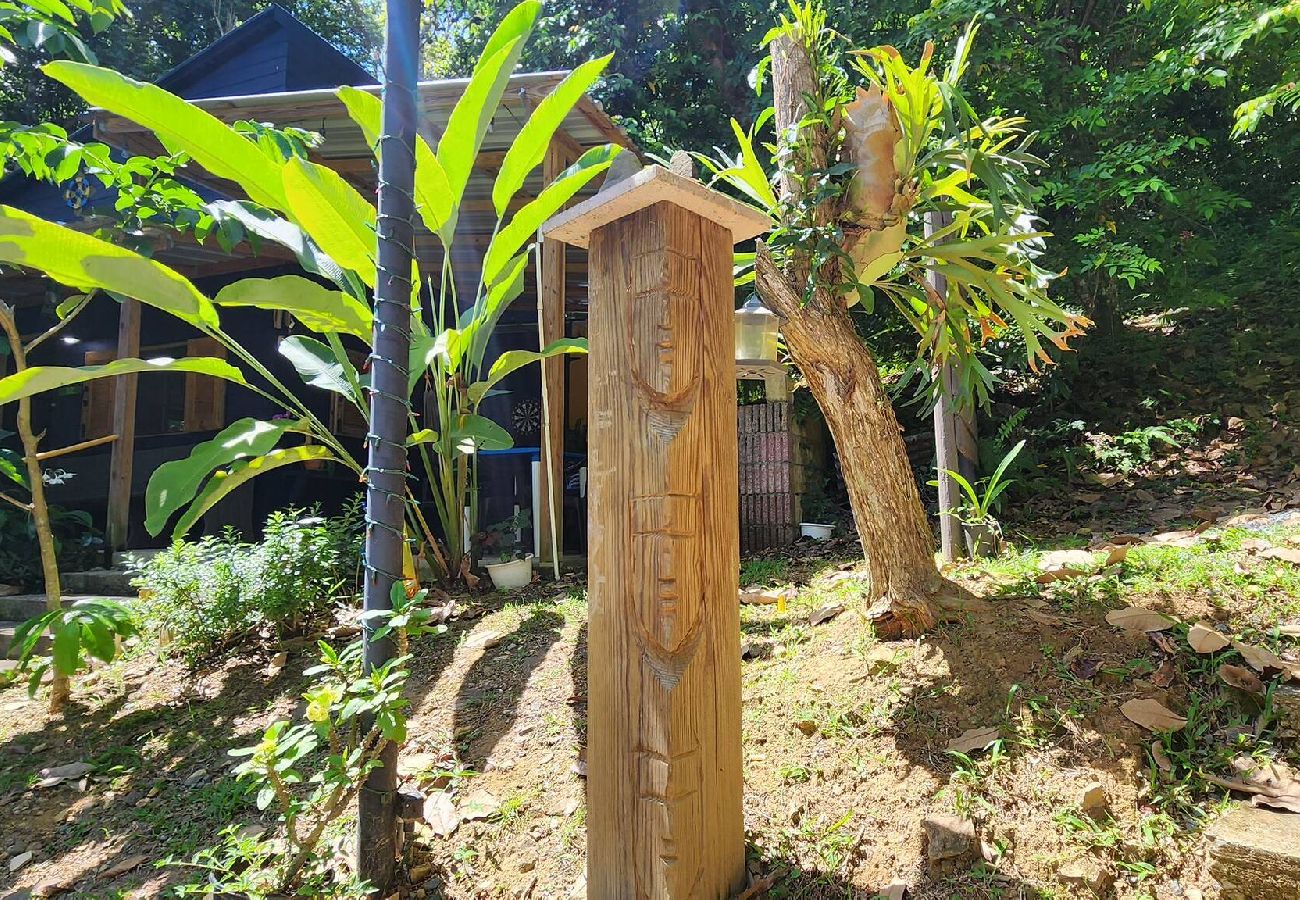 Cabin in Cayey - Tiny Cozy Mountain Cabin Peaceful Retreat in Cayey 