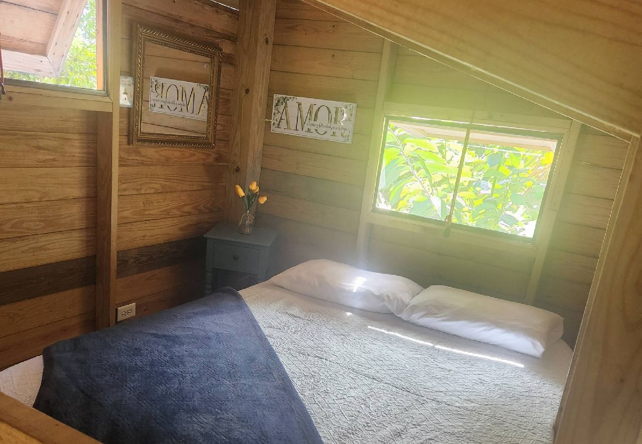 Cabin in Cayey - Tiny Cozy Mountain Cabin Peaceful Retreat in Cayey 
