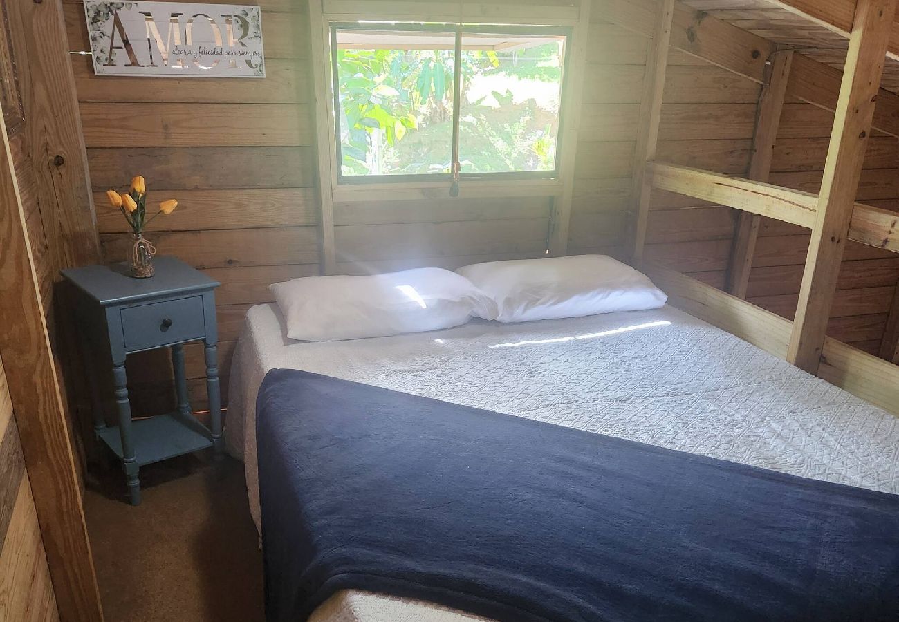Cabin in Cayey - Tiny Cozy Mountain Cabin Peaceful Retreat in Cayey 
