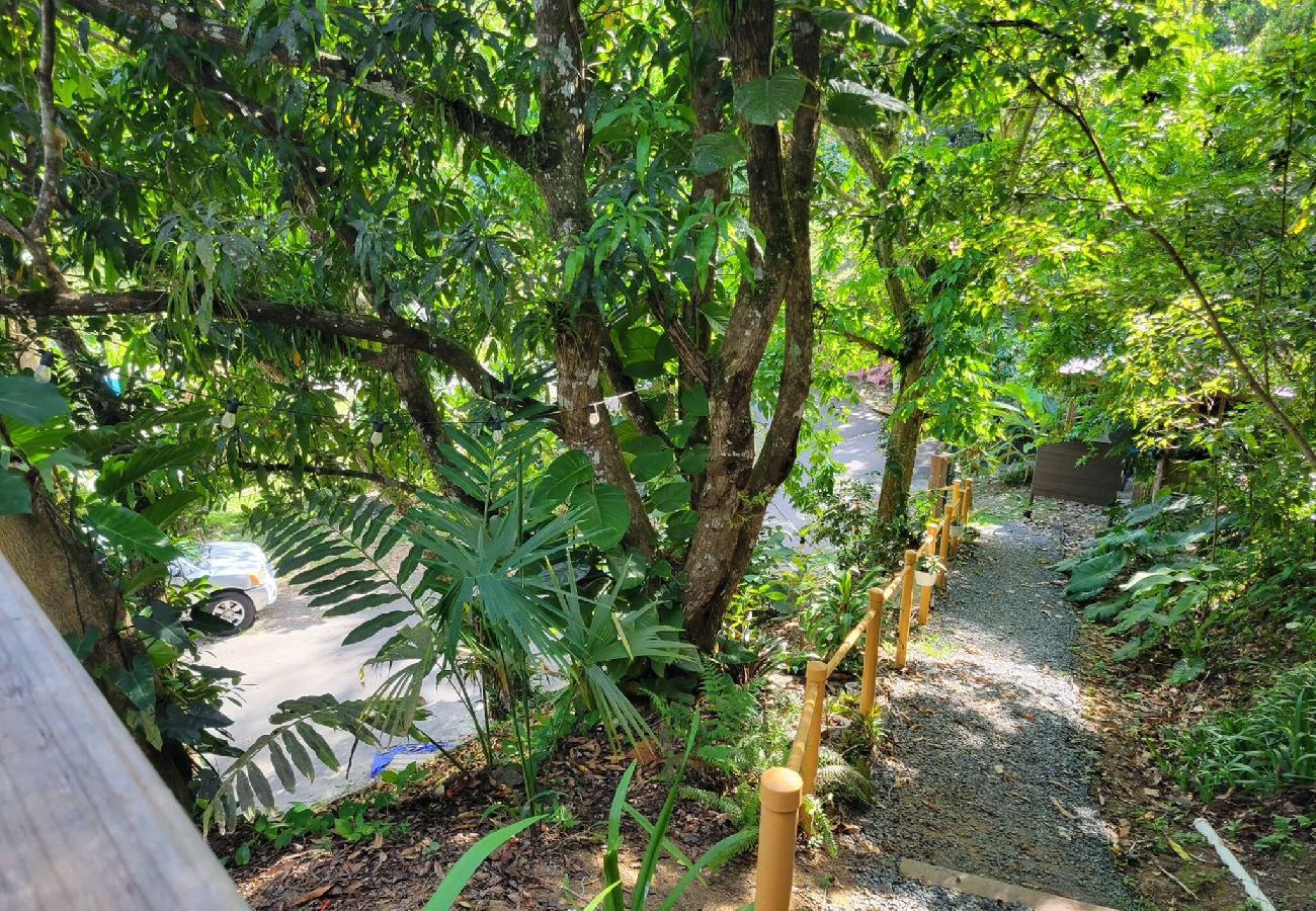 House in Cayey - Romantic Cozy Serene A Frame Mountain Cabin 