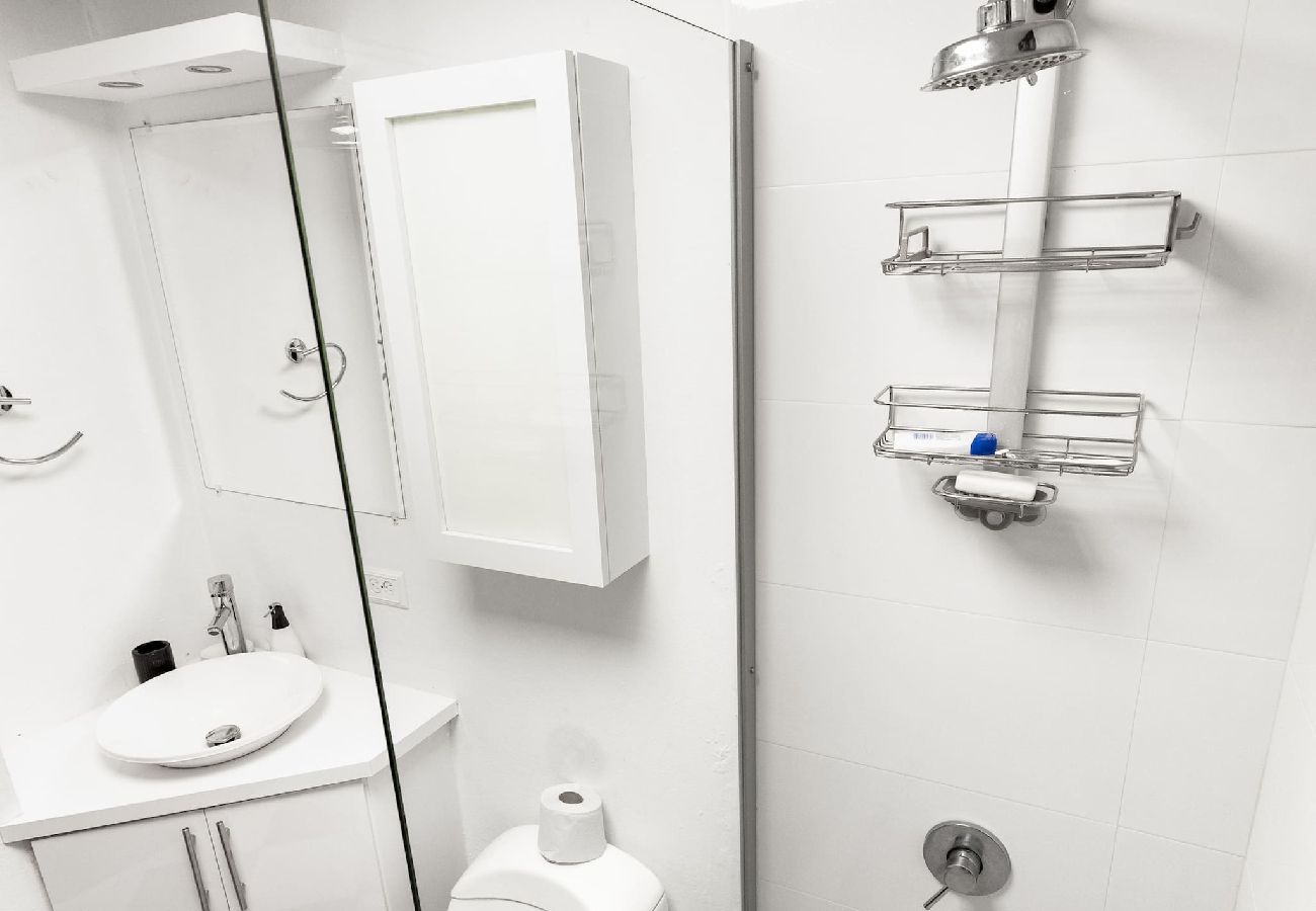 Apartment in San Juan - Historic and Stylish Apt at Calle Fortaleza! 