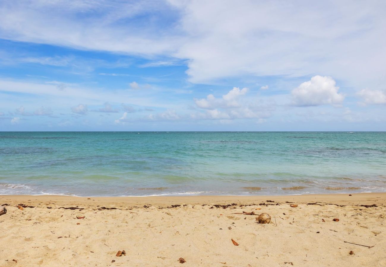 Condominium in Río Grande - Beachfront Aquatika Resort- Style/ Pools & Ocean