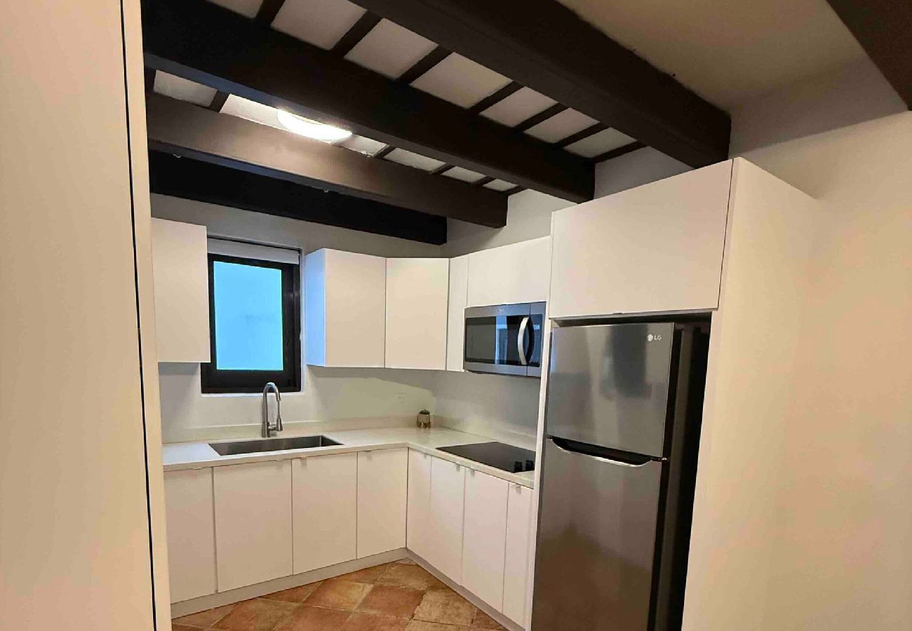 Apartment in San Juan - Bad Bunny's Calle de la Luna: Old San Juan History 