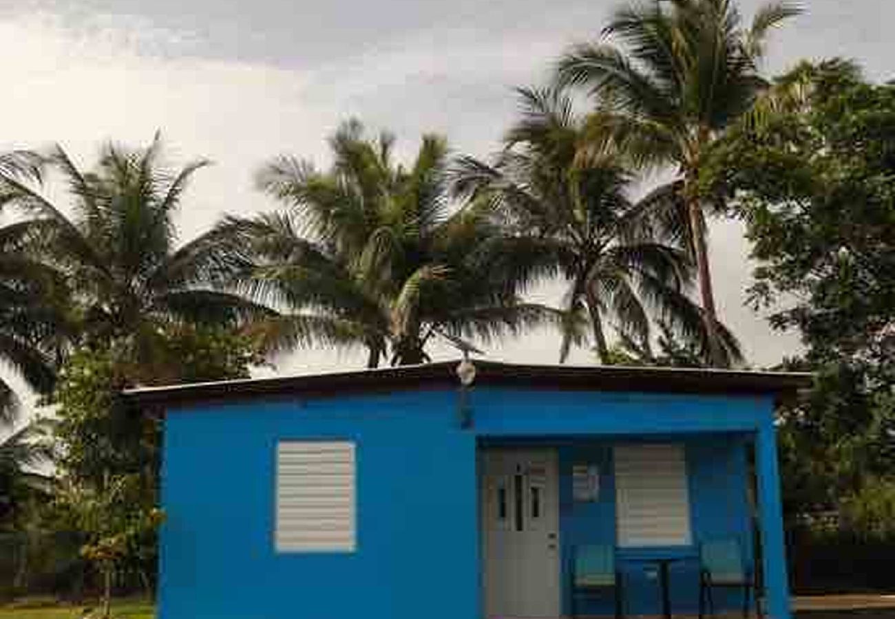 Cabin in Cabo Rojo - Villa Alegre 4
