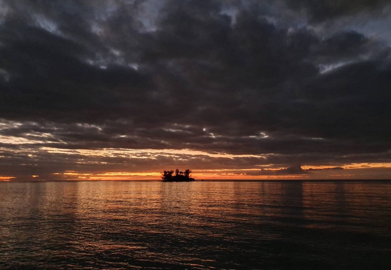 Cabin in Cabo Rojo - Villa Alegre 4