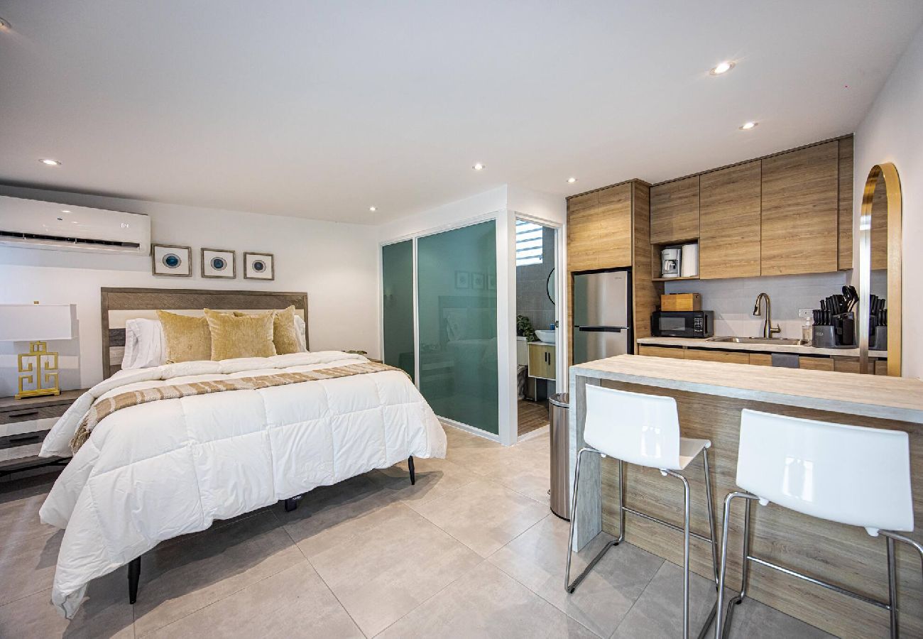 Apartment in San Juan - Stylish and Comfortable Studio Steps from La Cerra 